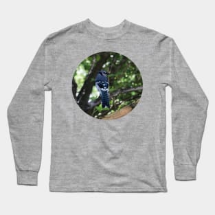 Blue Jay Long Sleeve T-Shirt